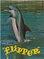 Flipper