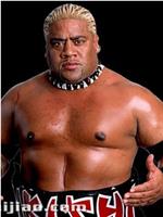 Solofa Fatu Jr.