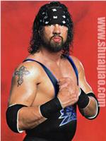 Sean Waltman