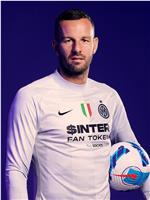 萨米尔·汉达诺维奇 Samir Handanovic