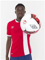 阿方索·戴维斯 Alphonso Davies