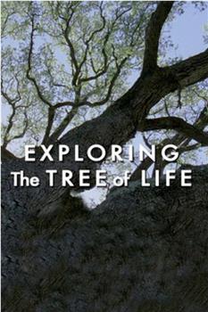 探索生命之树在线观看和下载