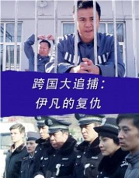 跨国大追捕：伊凡的复仇在线观看和下载