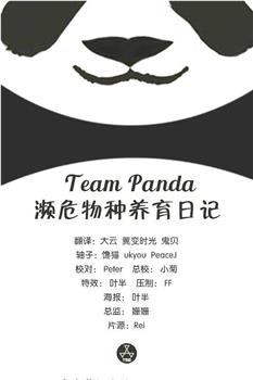 Team Panda 濒危物种养育日记在线观看和下载