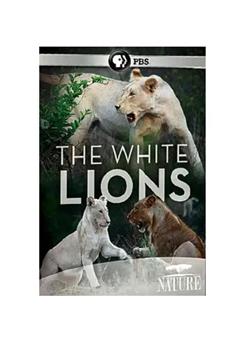 白狮在线观看和下载