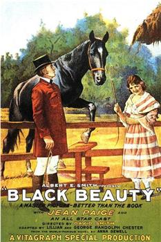 Black Beauty在线观看和下载
