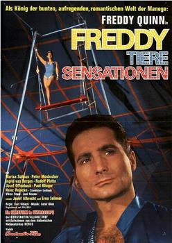 Freddy, Tiere, Sensationen在线观看和下载