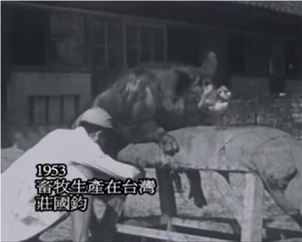 畜牧生产在台湾在线观看和下载