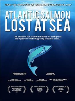 Atlantic Salmon: Lost at Sea在线观看和下载