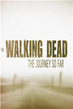 The Walking Dead: The Journey So Far在线观看和下载