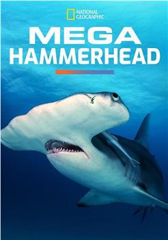 Mega Hammerhead在线观看和下载