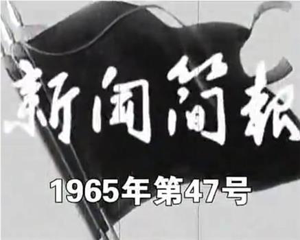 新闻简报1965年第47号在线观看和下载