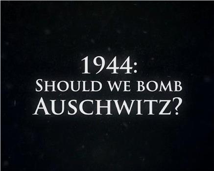 1944年：我们该轰炸奥斯威辛吗？在线观看和下载