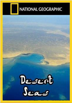 Desert Seas在线观看和下载
