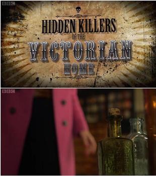 Hidden Killers of the Victorian Home在线观看和下载