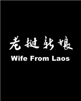 老挝新娘在线观看和下载