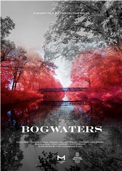 Bogwaters在线观看和下载