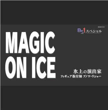 冰上导演 花滑编舞师 班瓦·里绍在线观看和下载