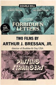 Arthur J. Bressan Jr.’s Early Super 8 Shorts在线观看和下载