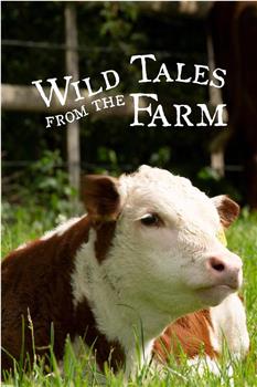 Wild Tales from the Farm Season 1在线观看和下载
