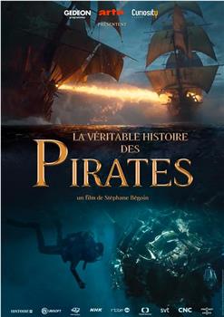 La véritable histoire des pirates在线观看和下载