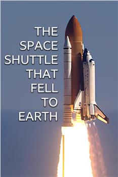 The Space Shuttle That Fell to Earth在线观看和下载