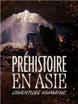 Préhistoire en Asie : L'aventure humaine在线观看和下载