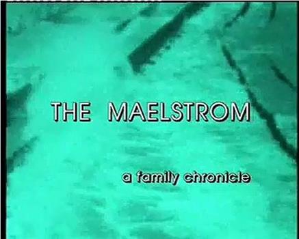 The Maelstrom: A Family Chronicle在线观看和下载