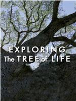 探索生命之树