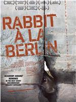 柏林墙的野兔magnet磁力分享
