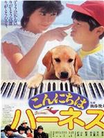 导盲犬哈斯蒂