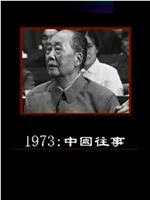 1973：中国往事