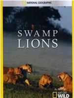 幼狮保卫战 Swamp Lions