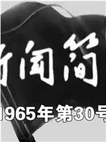 新闻简报1965年第30号