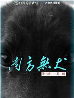 南方无犬