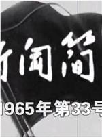 新闻简报1965年第33号