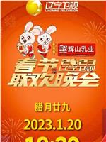 2023年辽宁卫视春节联欢晚会